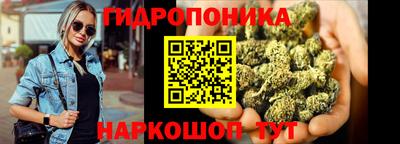 гашик Кунгур