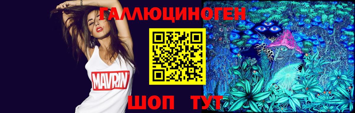 купить наркоту  Вход с VPN  Ивантеевка  Псилоцибиновые грибы Psilocybine cubensis 