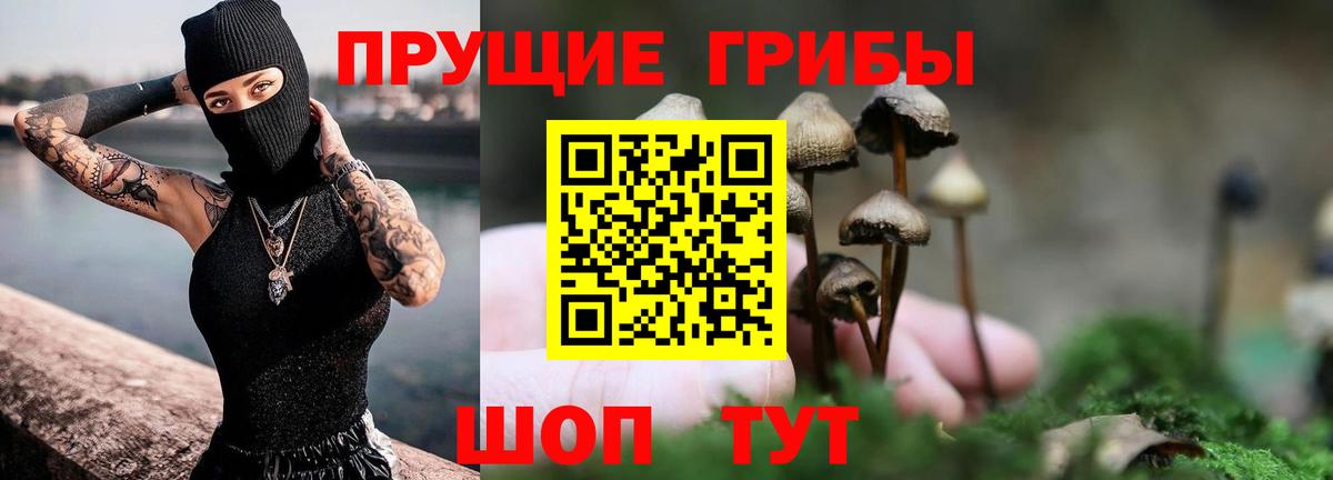 Галлюциногенные грибы MAGIC MUSHROOMS Ивантеевка